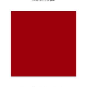 1 ark – 30,5×30,5 cm karton – Solbærrød