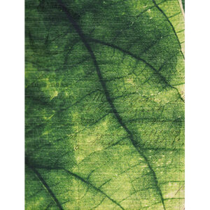 STUDIO LIGHT – Scrapark – A4 – Just Lou Botanical Collection nr.06