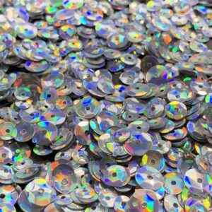 Simple and Basic Sequins – Holographic Silver