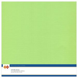 10 ark Linnen karton, 30,5 x 30,5 cm – May Green